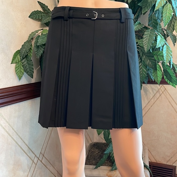 The Limited Dresses & Skirts - THE LIMITED FRONT PLEAT SKIRT